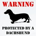 thumbnail image 2 of CafePress - Protected By A Dachshund Body Suit - Long Sleeve Cotton Baby Bodysuit, 2 of 4