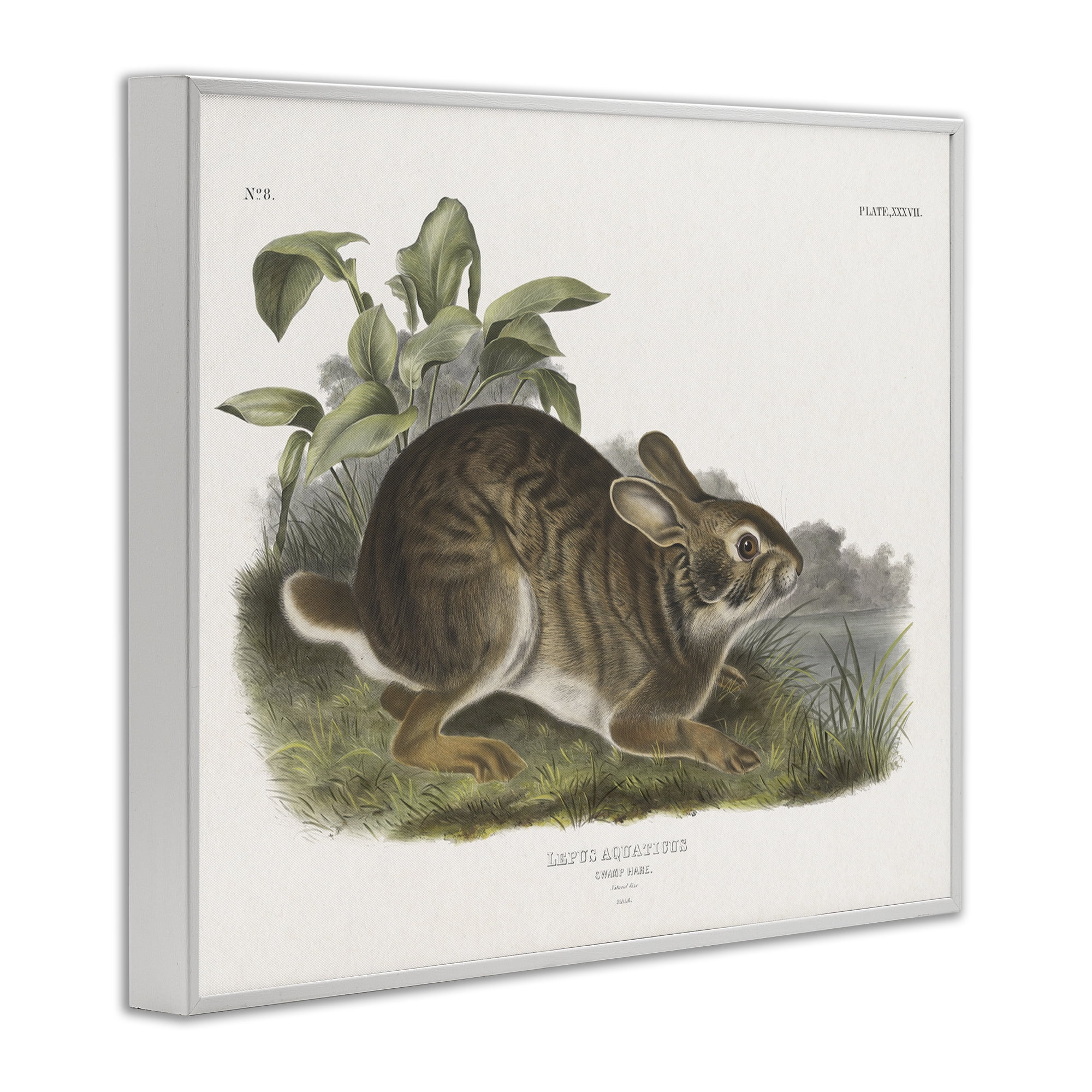 Stupell Industries Vintage Cottage Hare Animals & Insects Painting White Framed Art Print Wall Art, 14 x 11