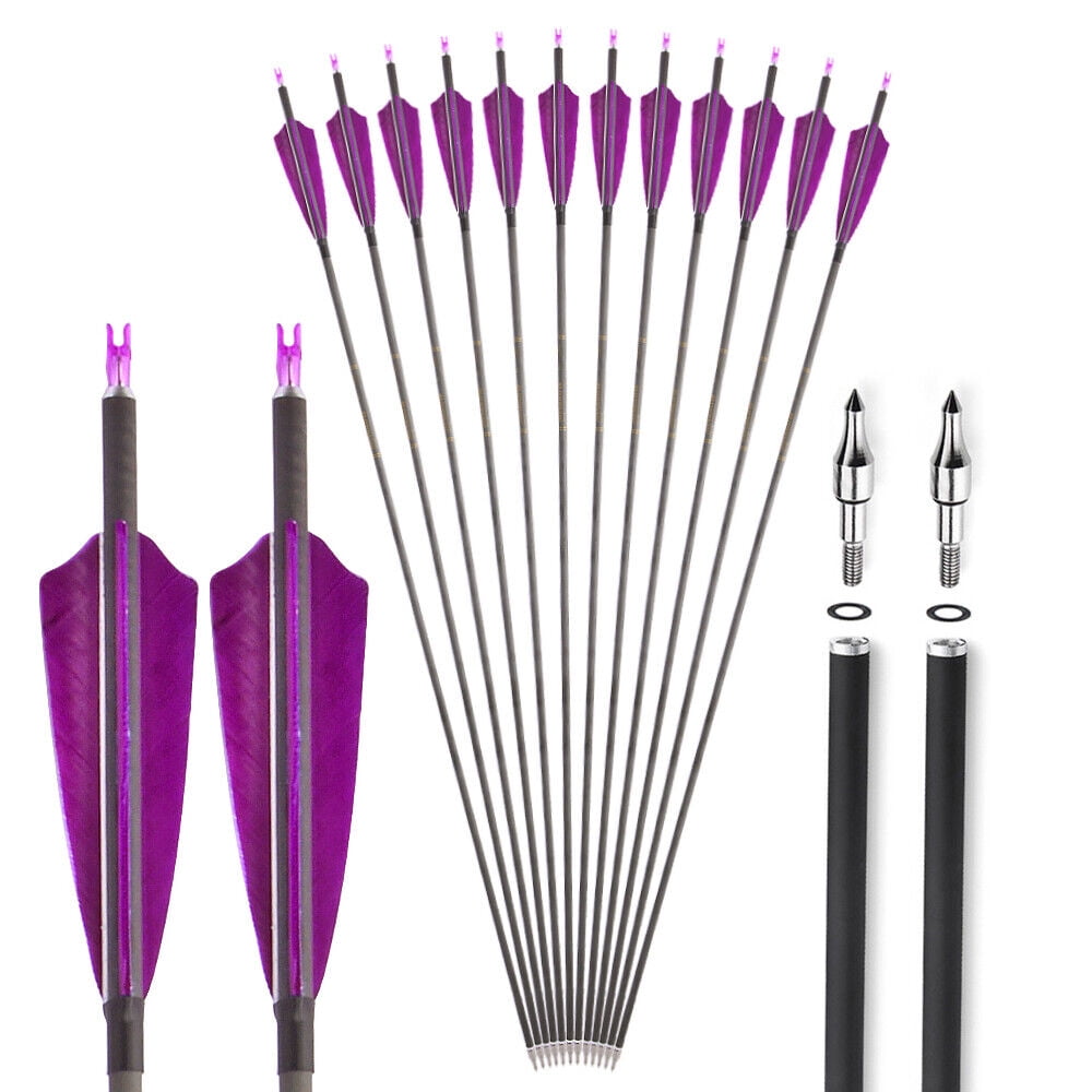 AMEYXGS 12pcs Flèches D'arbalète Mélangées De Carbone De Boules D'arbalète 16 "17" 18 "20" 22 "pour La Pratique De Chasse à L'arbalète Et De Tir à L' Arc (Bleu, 18