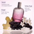 thumbnail image 4 of Perfume Caudalie Thé des Vignes Fresh Fragrance 50mL, 4 of 6
