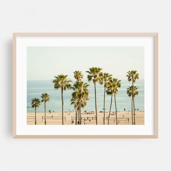 Palm Trees, Corona Del Mar - Newport Beach California Photography Beach Palm Tree Coastal Tropical Seaside Summer Ocean Oak Framed Wall Art Print 16 x 24 inches