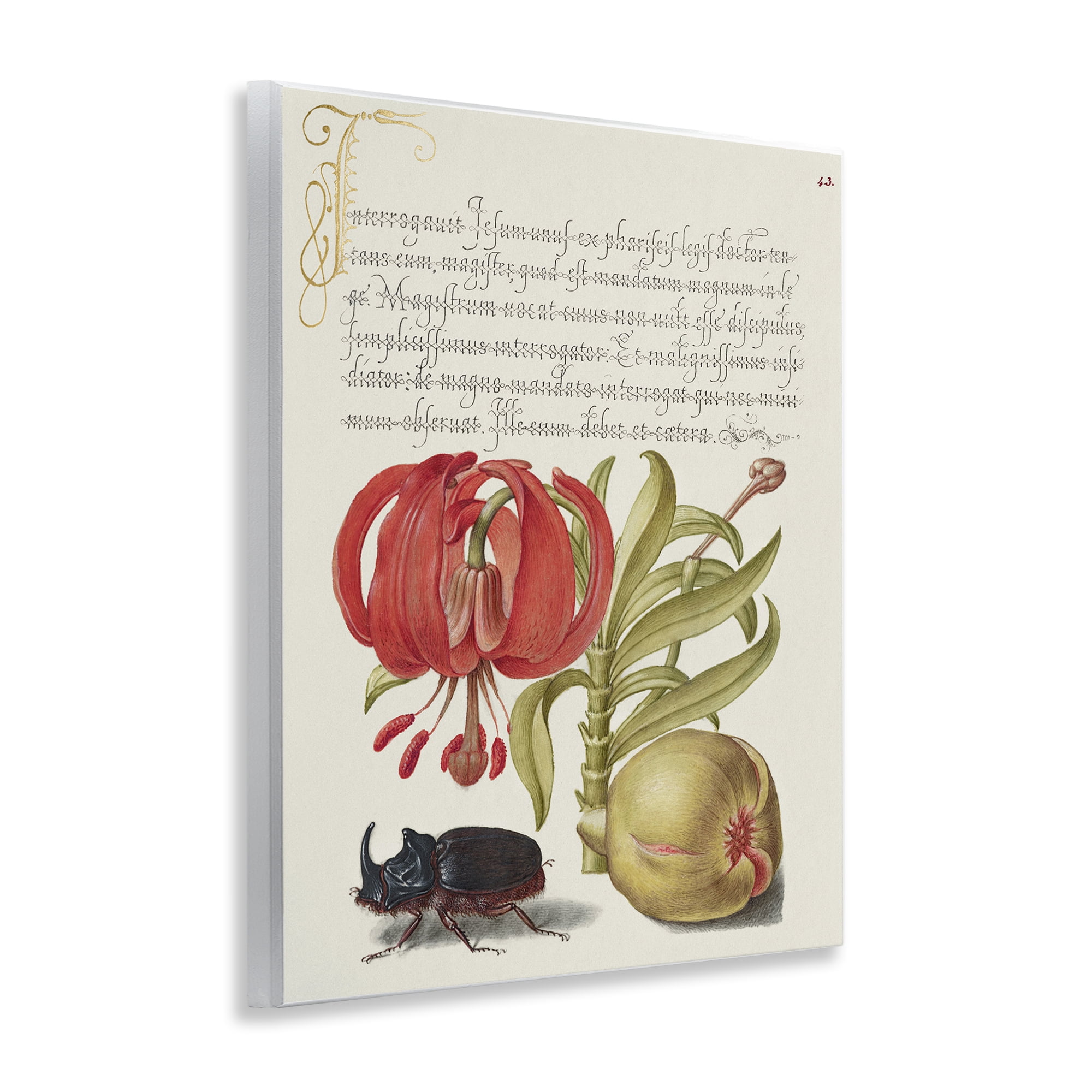 Stupell Industries Vintage Flora & Fauna Text & Numbers Painting Unframed Art Print Wall Art, 11 x 14