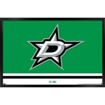 NHL Dallas Stars - Logo 21 Wall Poster, 22.375" x 34", Framed