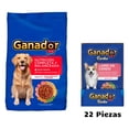 thumbnail image 1 of Ganador Adulto 25 kg + Sobre Lomo de Cerdo 100 g (22 Pzas), 1 of 5