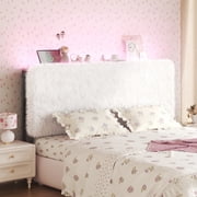 Image medium_image
