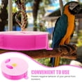 thumbnail image 5 of PENIKOKO Bird Foraging Box Parrot Feeding Bowl Plastic 1Set, 5 of 5