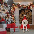 thumbnail image 5 of Cute Christmas Winter Pet Gift Set, Warm Sweater Jacket Matching Hat for Small Dogs & Cats, 5 of 5