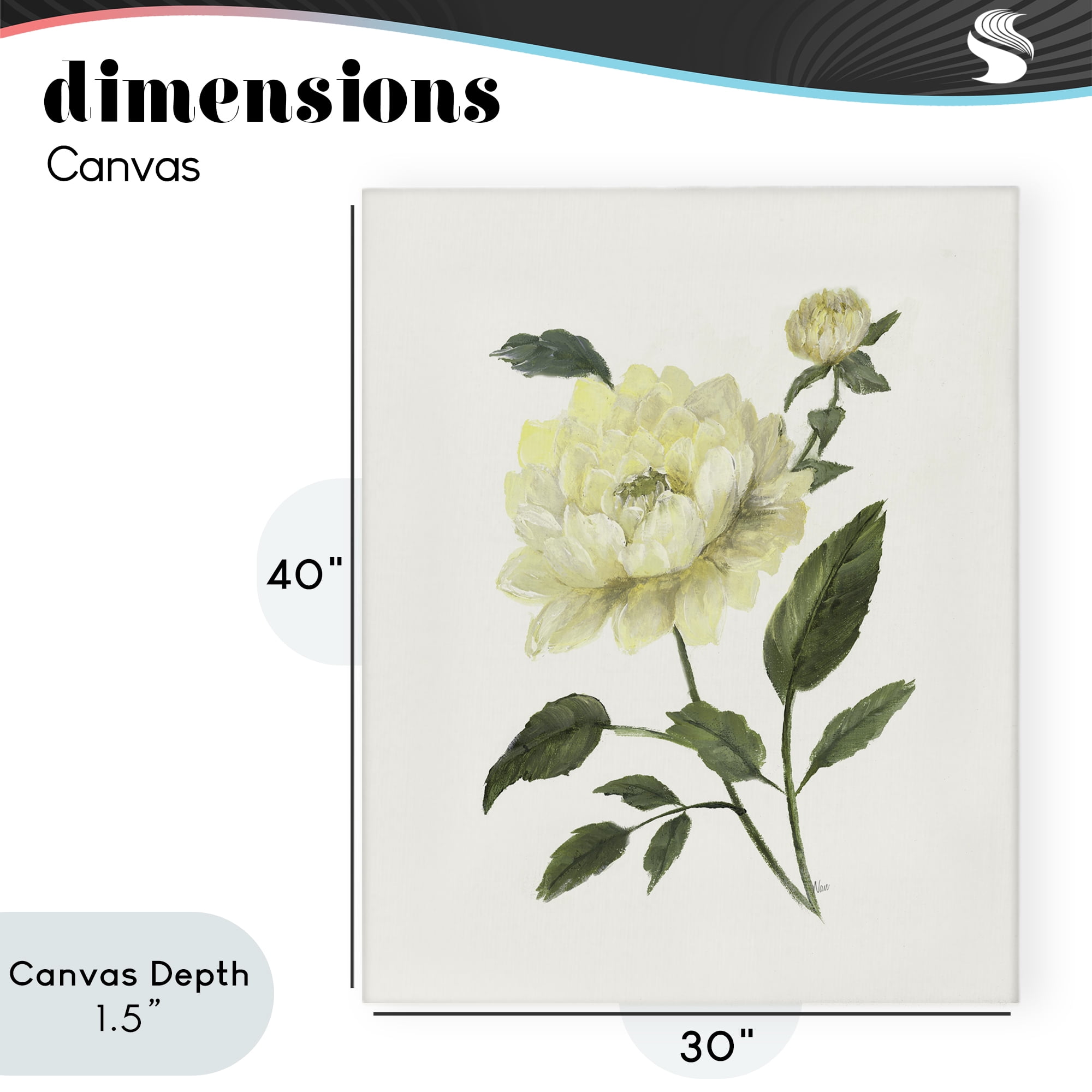 Stupell Industries Cream Garden Peony with Buds Canvas Wall Art, design by Nan