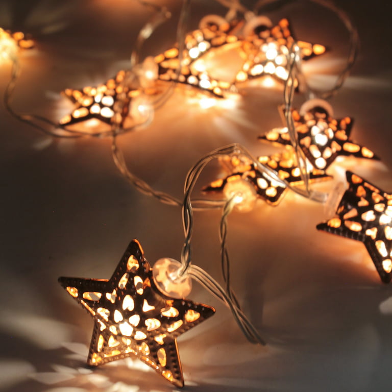 Perfect Holiday 10 Warm White LED String Light with Rose Gold