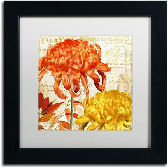 Trademark Fine Art "Chrysanthemums I" Canvas Art by Color Bakery White Matte, Black Frame