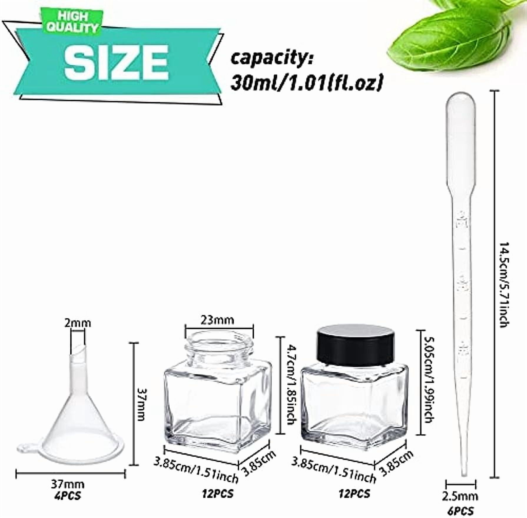 12 Pack 30ml Clear Empty Ink Bottles Glass Fountain Pen Ink Bottle with ABS Plastic Bottle Caps 4pcs Mini Transparent Plastic Funnel 6pcs 2ml Disposable Plastic Teardrop