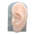 thumbnail image 2 of Human Modeling,human soft silicone model practical,display modeling tools apprentice , practice fake silicone piercing,display model 3d heads rubber torso Baoblaze none, 2 of 8