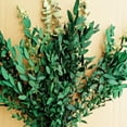 thumbnail image 6 of Dried Eucalyptus & Lavender Flowers Bundles for Wedding Home Office Decoration, No-watering Eucalyptus Bundle Festival Supply, 6 of 6