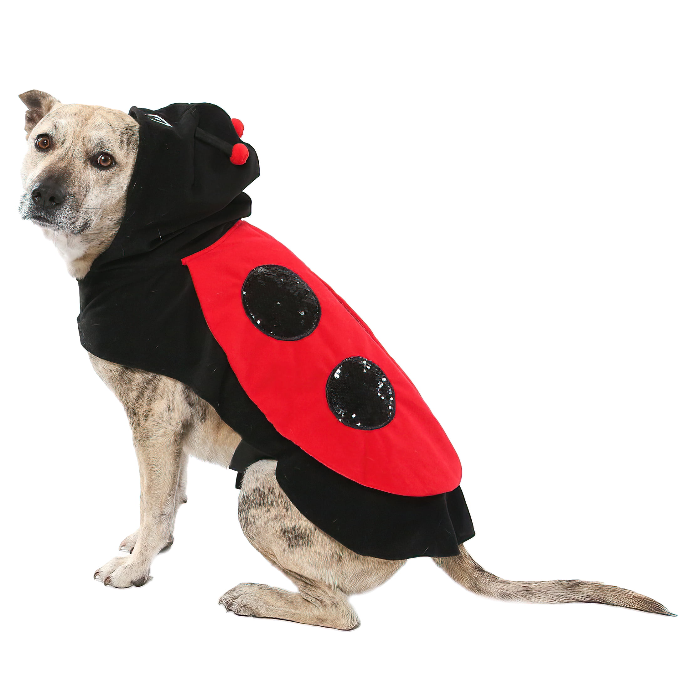 Vibrant Life Vl Hw Ladybug Costume Large