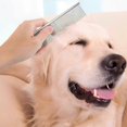 thumbnail image 5 of Dog Combs, Metal Cat Comb for Removing Knots and Tangles, Professional Grooming Tool for Dogs, Cats, and Other Long-Haired Pets., 5 of 5