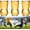 3 Pcs, variant on Soccer Shaped Glass Beer Cup, 15.4oz, Clear