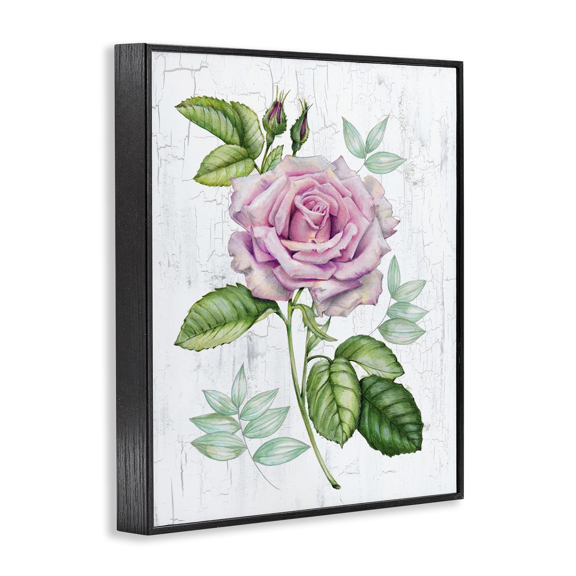 Stupell Industries English Manor Rose Botanical & Floral Painting Black Framed Art Print Wall Art, 16 x 20