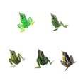 thumbnail image 3 of 5CM Fishing Bait Ray Frog Lightweight Simulation Fish Lure Hook Simulation Trolling Topwater Lifelike Sport Goods Offshore Freshwater Type C, 3 of 9