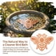 thumbnail image 2 of Copper Disc Of Bird Pond Cleaner Copper Disc Of Bird Pond Cleaner, 2 of 9