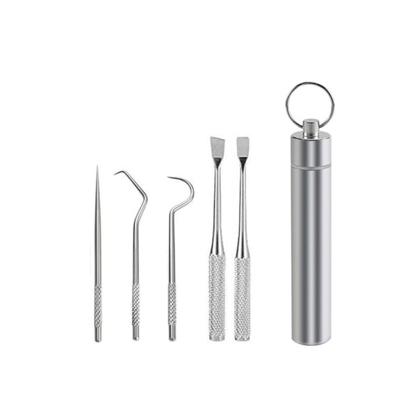 Bewildely Palillo de Limpieza de de viaje Selección Barbacoa Fruta Tenedor Reutilizable Lavable Multifuncional Flosser Flosser con Mostrada 5PCS Bewildely HA012565-01
