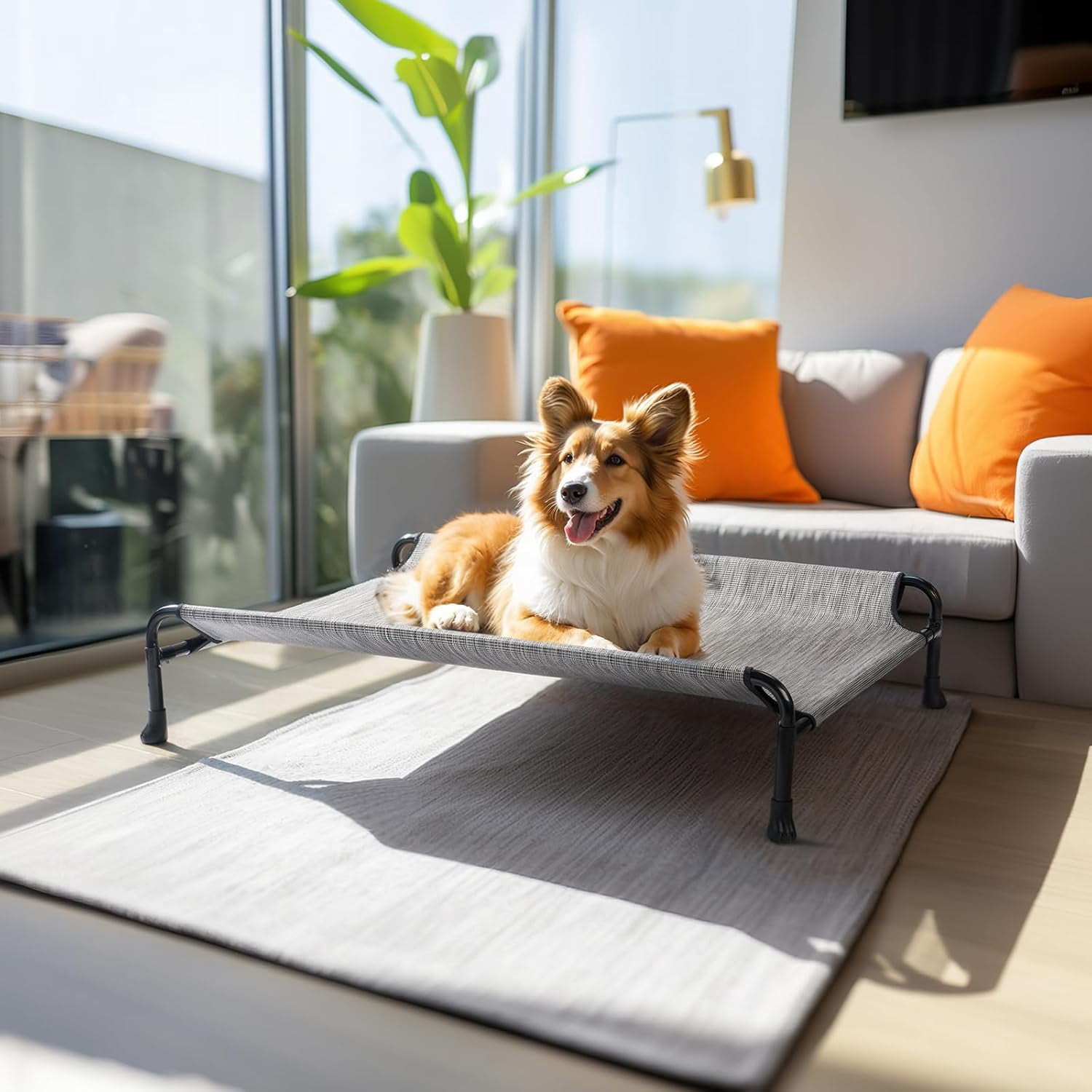 Elevated Dog Bed, Raised Dog Cots for Medium Dogs, Waterproof Outdoor Dogs Bed, Cooling Pet Hammock with Guardrail, Upgraded Non-Slip Feet, Breathable Teslin Mesh, Black Silver, 35x 22 inches