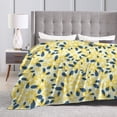 thumbnail image 5 of XMXY Fleece Throw Blanket for Couch, Fresh Yellow Daisy Lightweight Plush Fuzzy Cozy Soft Bed Blankets and Throws for Sofa, 80"x60" inches, 5 of 8