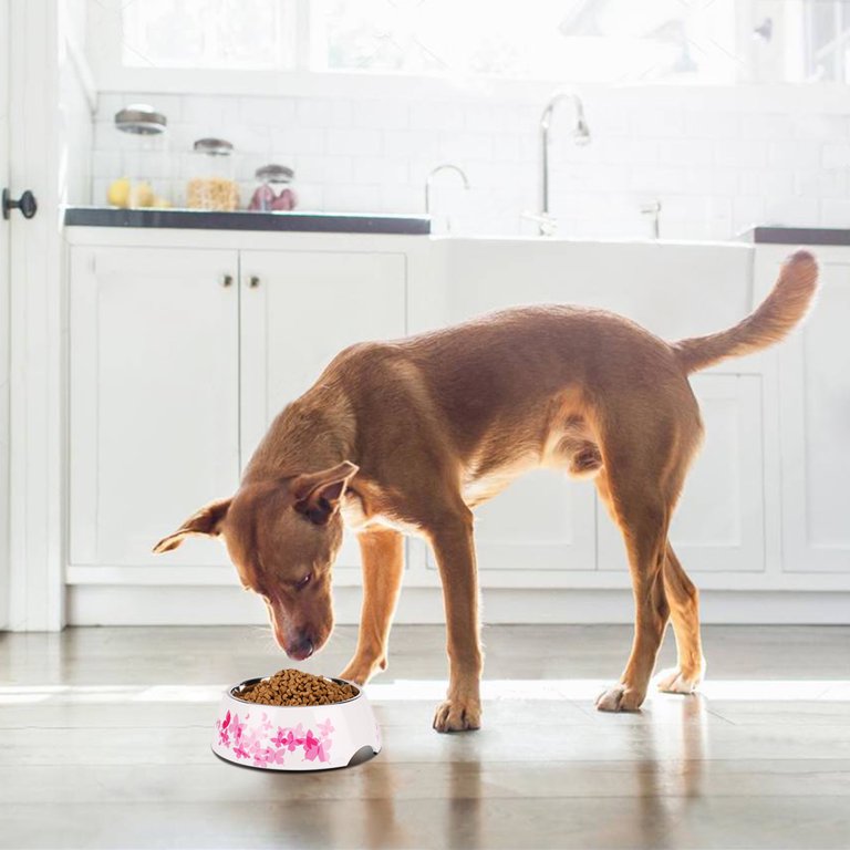 New Stainless Steel Food Water Dish Bowls Bowl Pet Feeder Dog Cat Anti-Slip  Base