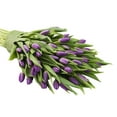 thumbnail image 3 of KaBloom :50 Purple Tulips, Next-Day Delivery, Gift for Every Occasion., 3 of 5