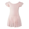 thumbnail image 3 of Daydance Toddler Girls Ballet Tutu Skirt Ruffle Sleeve Dance Dress Pink, 3 of 5