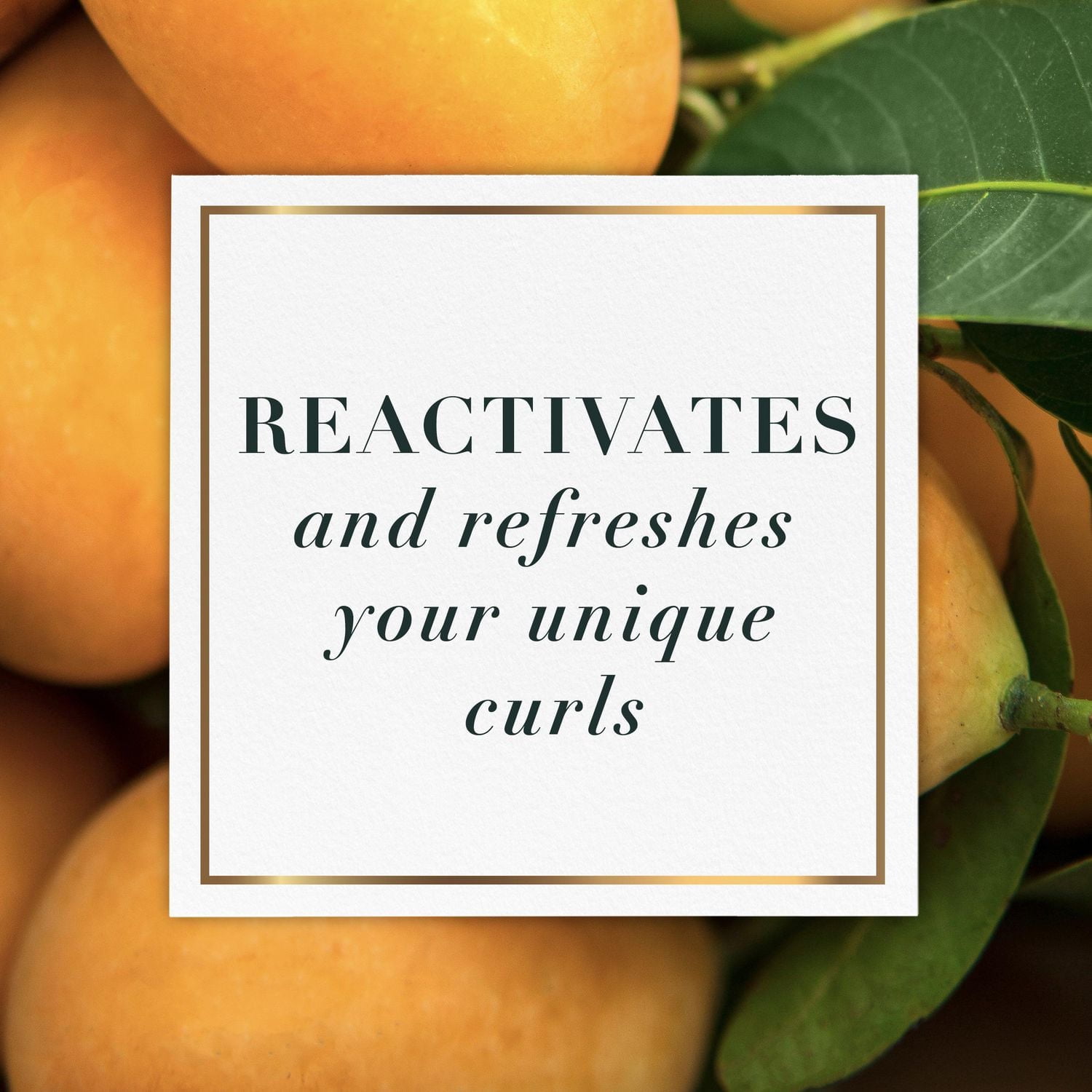 Herbal Essences Mango & Aloe Oil Curl Refresh Mist