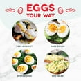 thumbnail image 4 of DASH Rapid Egg Cooker: 6 Egg Capacity Electric Egg Cooker for Hard Boiled Eggs, Poached Eggs, Scrambled Eggs, or Omelets with Auto Shut Off Feature - White (DEC005WH), 4 of 11