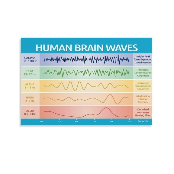 Human Brain Waves Infographic Poster Canvas Wall Art Posters For Room Aesthetic And Decor Poster For Bedroom Living Room Bathroom Kitchen Office Decor poster