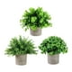 thumbnail image 5 of Plantas artificiales en maceta Strade Fareast Limited 3 piezas decorativas de imitación, 5 of 8
