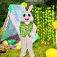 thumbnail image 1 of Disfraz de Cosplay Yinane Conejo Verde para Adultos, 1 of 8