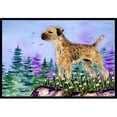 thumbnail image 1 of Carolines Treasures SS8664JMAT Tapis d'Intérieur Ou d'Extérieur Border Terrier 24 x 36 Po, 1 of 4