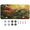 Multicolor 4, variant on ADECORIVY Spring Meadow Floral License Plate, Aluminum Decorative Novelty Vanity Tag with 4 Holes, Front Plate for Men Women Car Tag Accessories, 6 x 12 inch