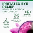 thumbnail image 2 of Similasan Preservative-Free Irritated Eye Relief Drops for Instant and Long-Lasting Comfort, 0.33 fl oz, 2 of 7