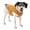 Heather Orange, variant on Kurgo Core Dog Sweater, Knit Dog Sweater With Fleece Lining, Heather Red, X-Large