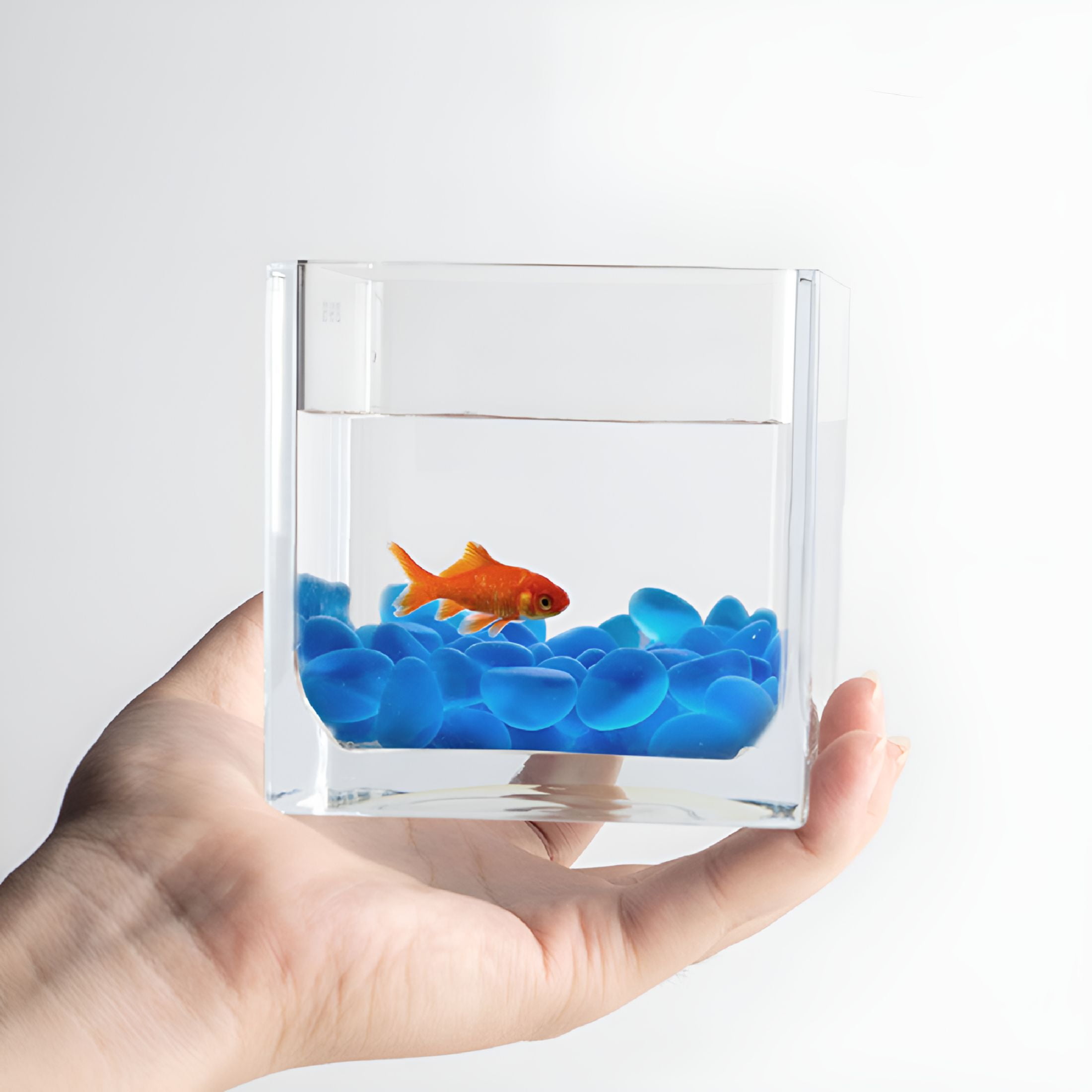 ACDANC 10 Gallon Clear Glass Fish Tank for Home Decoration