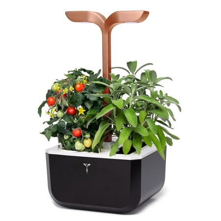 Veritable - Exky Smart Indoor Garden with 2 Grow Pods - Copper