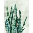 thumbnail image 2 of PI Studio 25x32 Black Ornate Wood Framed with Double Matting Museum Art Print Titled - Reaching Snake Plant, 2 of 4
