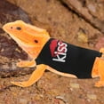 thumbnail image 7 of Bearded Dragon Leash Adjustable Cute Lizard Reptiles Harness Bearded Dragon Harness Escape-Proof Harness Clothes for Walkings Outdoor Black 1 Set, 7 of 7