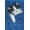 Premium Poster & Clip Bundle, variant on Keith Kimberlin - Kitten - Pocket Wall Poster, 22.375" x 34"
