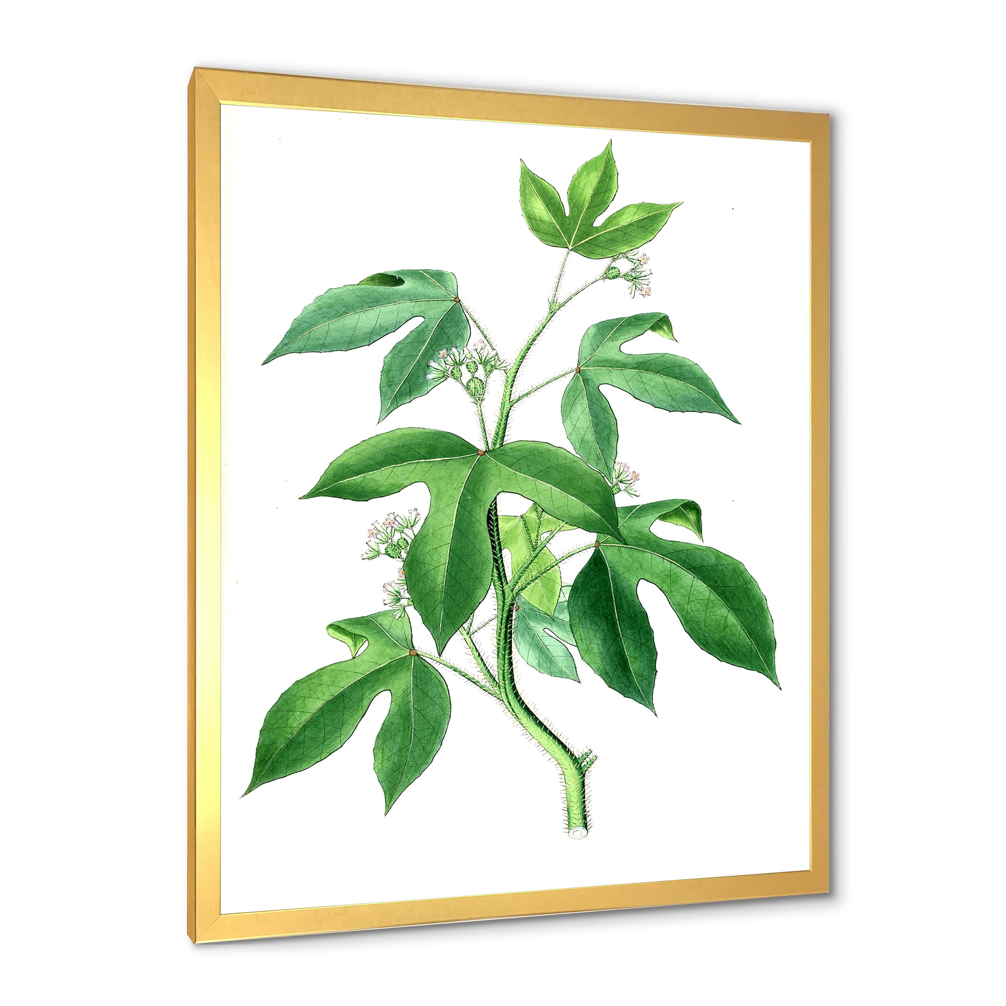 Designart 'Ancient Green Leaves Plants V' Traditional Framed Art Print