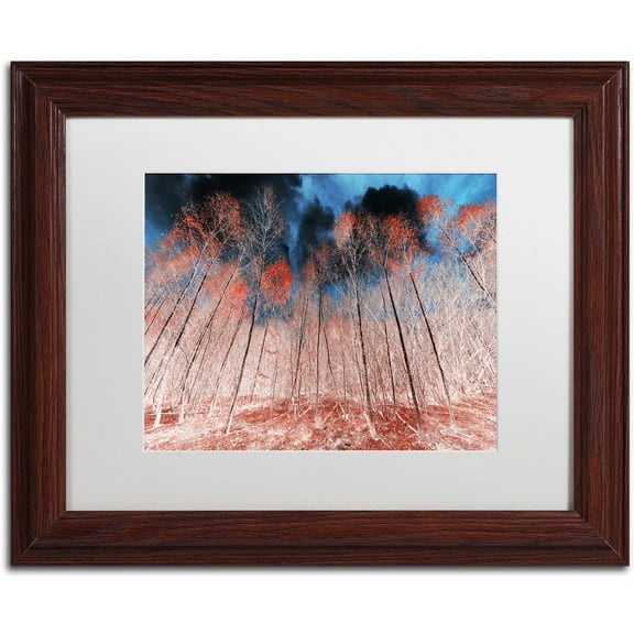 Trademark Fine Art "First Show" Canvas Art by Philippe Sainte-Laudy White Matte, Wood Frame