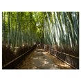 thumbnail image 2 of Grand Allée dans la Forêt de Bambou - Impression sur Toile, 2 of 3