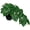 Monstera #Plastic#style 2, variant on Indoor 9 Inch Artificial Monstera in Black Plastic Pot - Faux Potted Tropical Palm for Aesthetic Decor Living Room Shelf Office