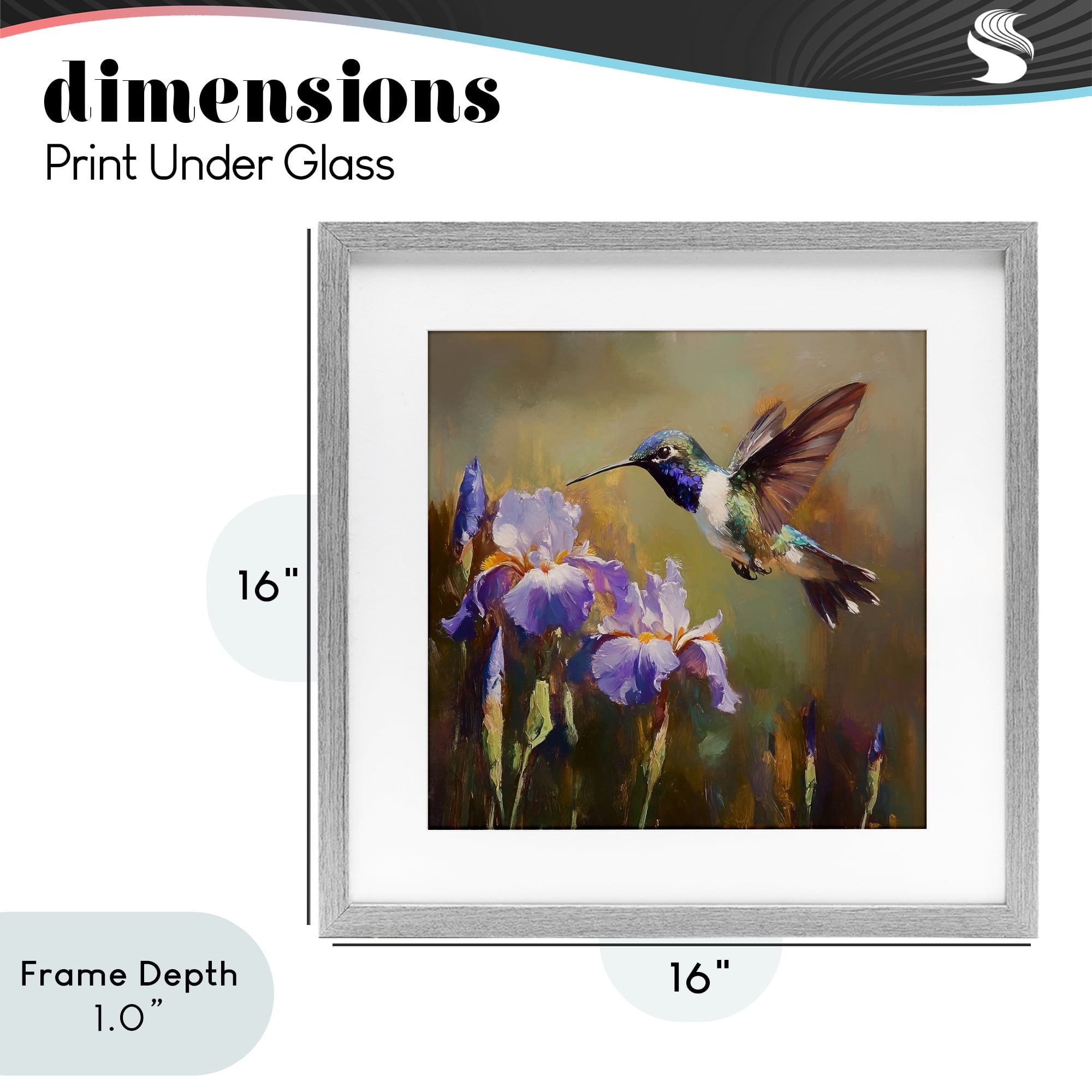 Stupell Industries Hummingbird & Purple Irises Gray Framed Print Under Glass, design by Tina LeCour