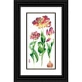 thumbnail image 1 of Malpas, Gabby 11x18 Black Ornate Wood Framed with Double Matting Museum Art Print Titled - Tulip Study 1, 1 of 1