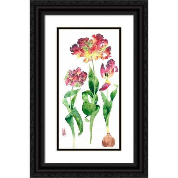 Malpas, Gabby 11x18 Black Ornate Wood Framed with Double Matting Museum Art Print Titled - Tulip Study 1